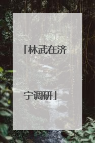 林武在济宁调研