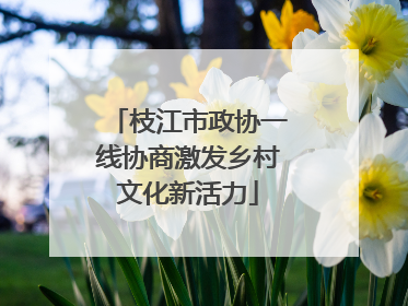 枝江市政协一线协商激发乡村文化新活力