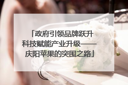 政府引领品牌跃升 科技赋能产业升级——庆阳苹果的突围之路