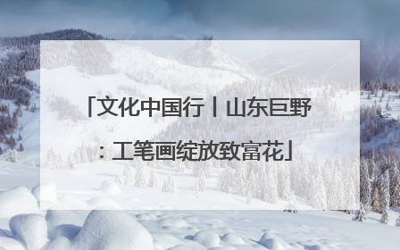 文化中国行丨山东巨野：工笔画绽放致富花