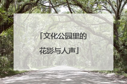 文化公园里的花影与人声