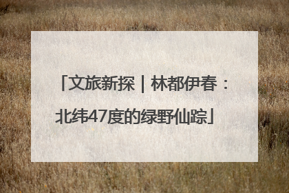 文旅新探｜林都伊春：北纬47度的绿野仙踪