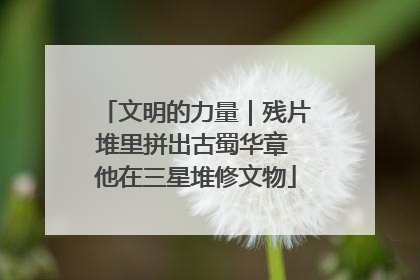 文明的力量｜残片堆里拼出古蜀华章 他在三星堆修文物