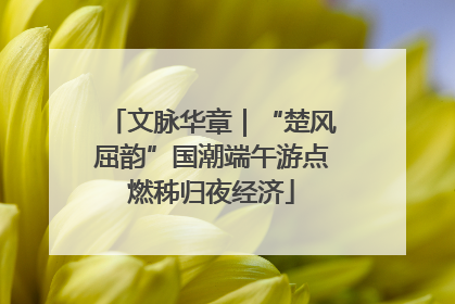 文脉华章｜“楚风屈韵”国潮端午游点燃秭归夜经济