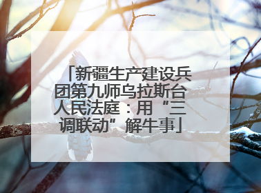 新疆生产建设兵团第九师乌拉斯台人民法庭：用“三调联动”解牛事