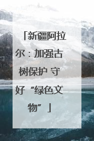 新疆阿拉尔：加强古树保护 守好“绿色文物”