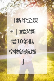 新华全媒+｜武汉新增10条低空物流航线