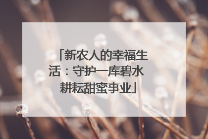 新农人的幸福生活：守护一库碧水 耕耘甜蜜事业