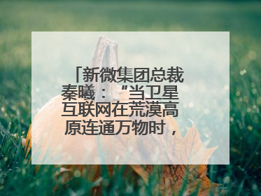 新微集团总裁秦曦：“当卫星互联网在荒漠高原连通万物时，成都的创新故事才真正开始”