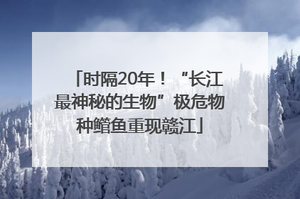 时隔20年！“长江最神秘的生物”极危物种鳤鱼重现赣江
