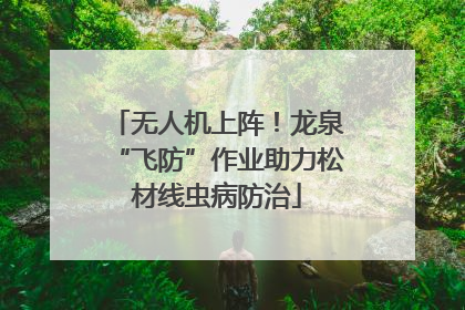 无人机上阵！龙泉“飞防”作业助力松材线虫病防治