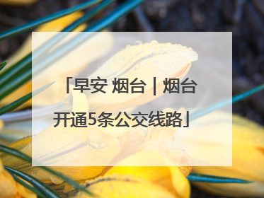早安 烟台｜烟台开通5条公交线路