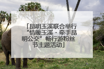 昆明玉溪联合举行“情暖玉溪・牵手昆明公交”畅行游粉丝节主题活动
