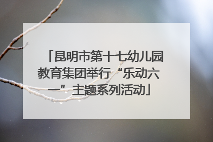 昆明市第十七幼儿园教育集团举行“乐动六一”主题系列活动