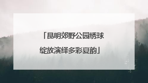 昆明郊野公园绣球绽放演绎多彩夏韵