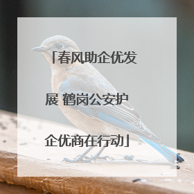 春风助企优发展 鹤岗公安护企优商在行动