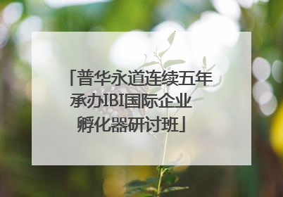 普华永道连续五年承办IBI国际企业孵化器研讨班