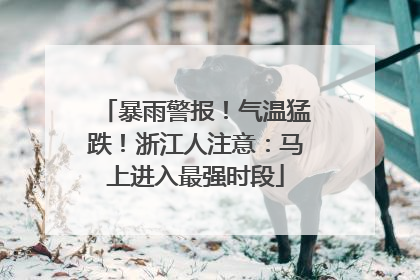 暴雨警报！气温猛跌！浙江人注意：马上进入最强时段