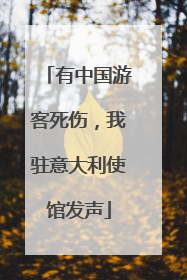 有中国游客死伤，我驻意大利使馆发声