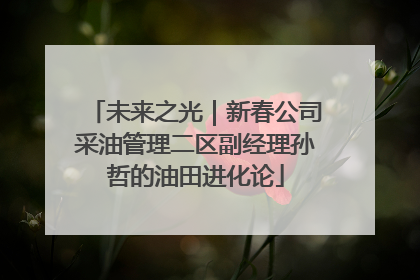 未来之光｜新春公司采油管理二区副经理孙哲的油田进化论