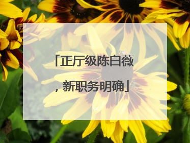 正厅级陈白薇，新职务明确