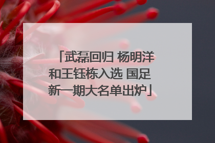 武磊回归 杨明洋和王钰栋入选 国足新一期大名单出炉