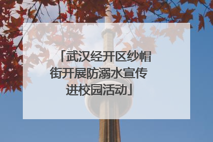 武汉经开区纱帽街开展防溺水宣传进校园活动