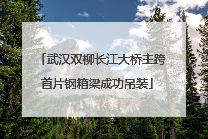 武汉双柳长江大桥主跨首片钢箱梁成功吊装