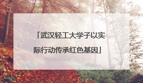 武汉轻工大学子以实际行动传承红色基因