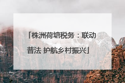 株洲荷塘税务：联动普法 护航乡村振兴