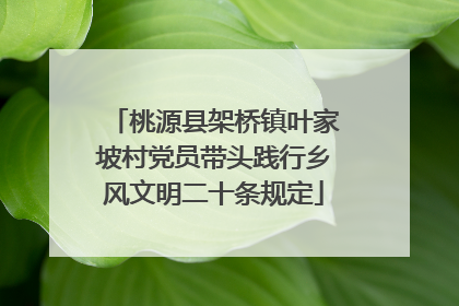 桃源县架桥镇叶家坡村党员带头践行乡风文明二十条规定