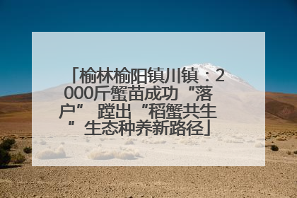 榆林榆阳镇川镇：2000斤蟹苗成功“落户” 蹚出“稻蟹共生”生态种养新路径