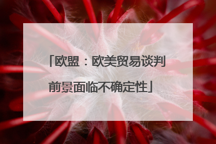 欧盟：欧美贸易谈判前景面临不确定性