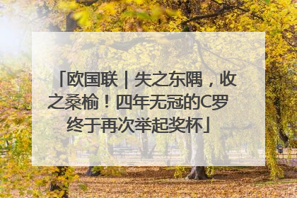 欧国联｜失之东隅，收之桑榆！四年无冠的C罗终于再次举起奖杯