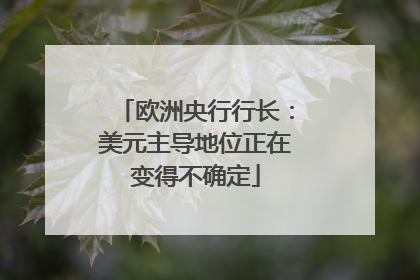 欧洲央行行长：美元主导地位正在变得不确定