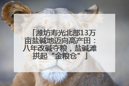 潍坊寿光北部13万亩盐碱地迈向高产田：八年改碱夺粮，盐碱滩拱起“金粮仓”