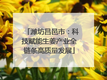 潍坊昌邑市：科技赋能生姜产业全链条高质量发展