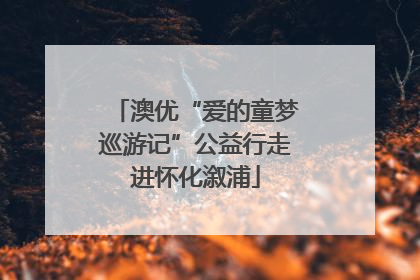 澳优“爱的童梦巡游记”公益行走进怀化溆浦