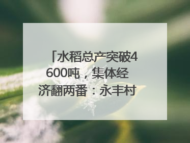 水稻总产突破4600吨，集体经济翻两番：永丰村的三年蜕变｜您牵挂的四川