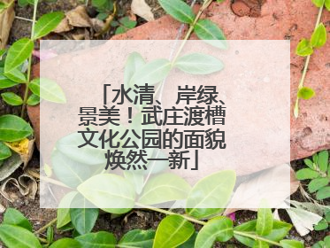 水清、岸绿、景美！武庄渡槽文化公园的面貌焕然一新