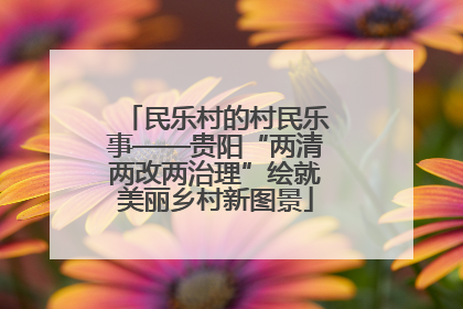 民乐村的村民乐事——贵阳“两清两改两治理”绘就美丽乡村新图景