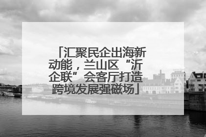 汇聚民企出海新动能，兰山区“沂企联”会客厅打造跨境发展强磁场