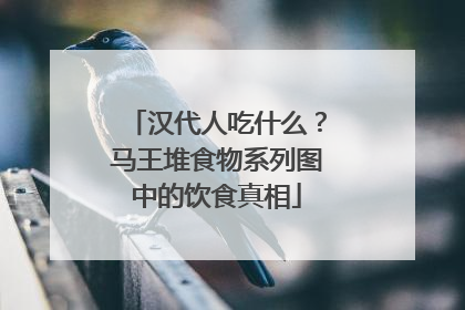 汉代人吃什么？马王堆食物系列图中的饮食真相