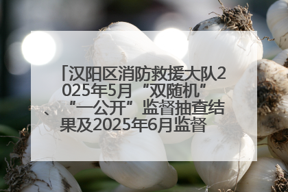 汉阳区消防救援大队2025年5月“双随机”、“一公开”监督抽查结果及2025年6月监督抽查任务公示