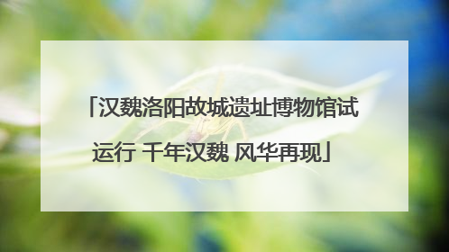 汉魏洛阳故城遗址博物馆试运行 千年汉魏 风华再现
