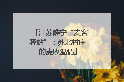 江苏睢宁“麦客驿站”：苏北村庄的麦收温情