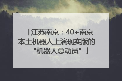 江苏南京：40+南京本土机器人上演现实版的“机器人总动员”