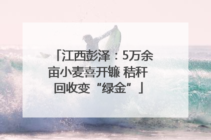 江西彭泽：5万余亩小麦喜开镰 秸秆回收变“绿金”