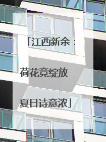 江西新余：荷花竞绽放 夏日诗意浓