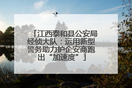江西泰和县公安局经侦大队：运用新型警务助力护企安商跑出“加速度”